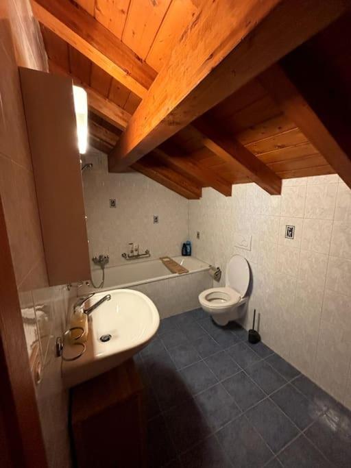 Swiss Chalet - Mountain And Lake View Blonay Екстер'єр фото