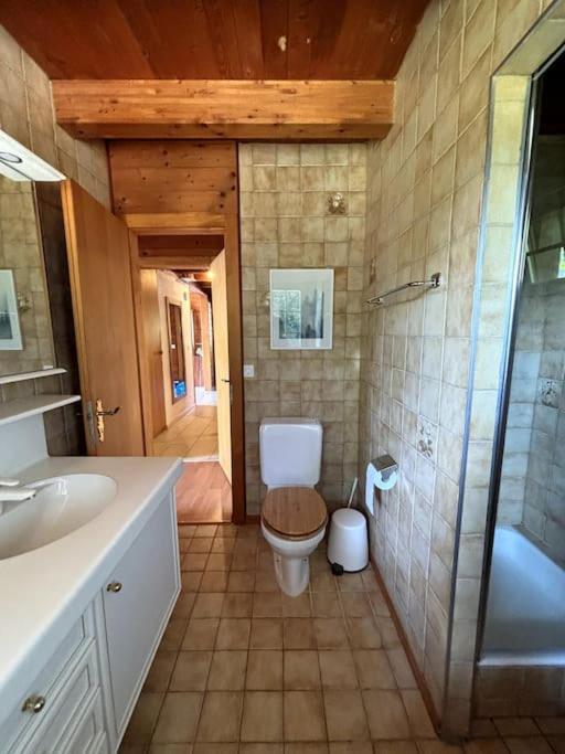 Swiss Chalet - Mountain And Lake View Blonay Екстер'єр фото